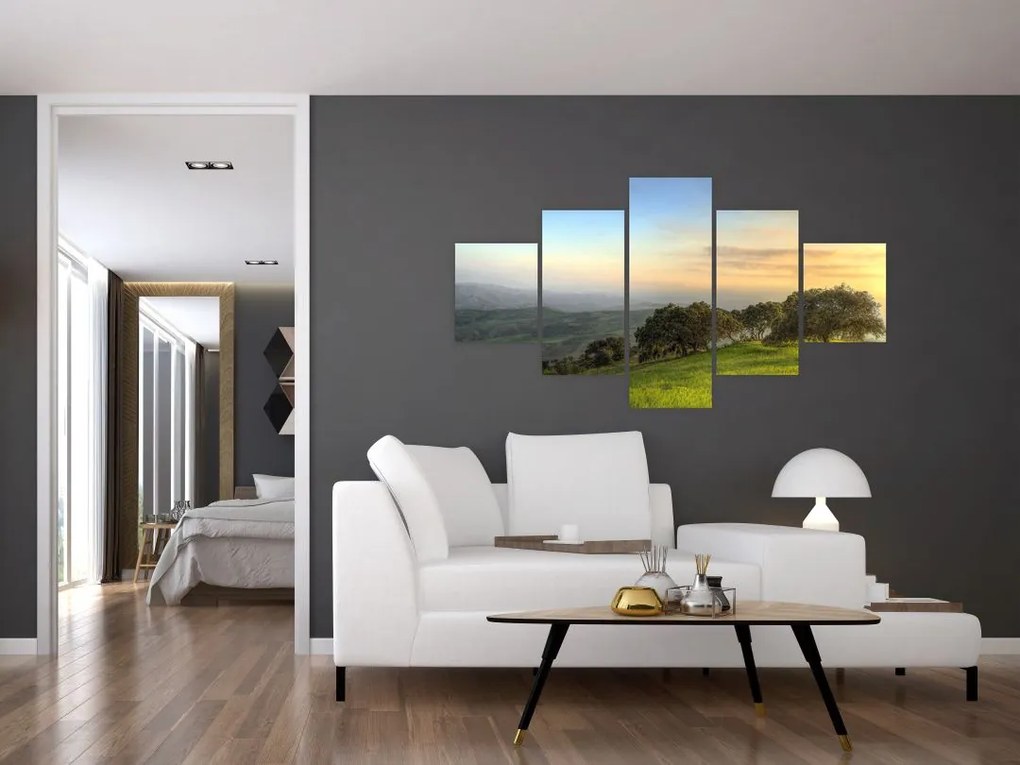 Obraz - Widok ze wzgórza (125x70 cm)