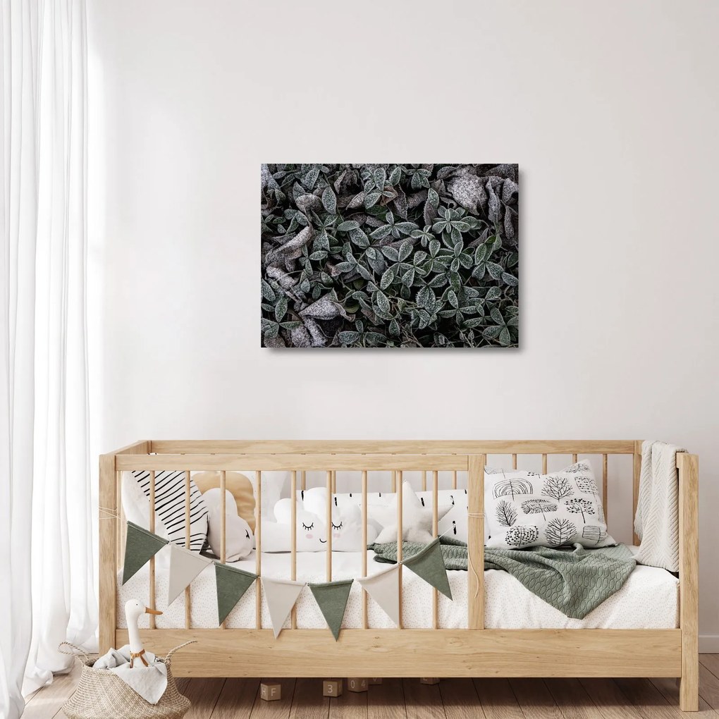 Obraz na szkle - Zamrożone rośliny (70x50 cm)