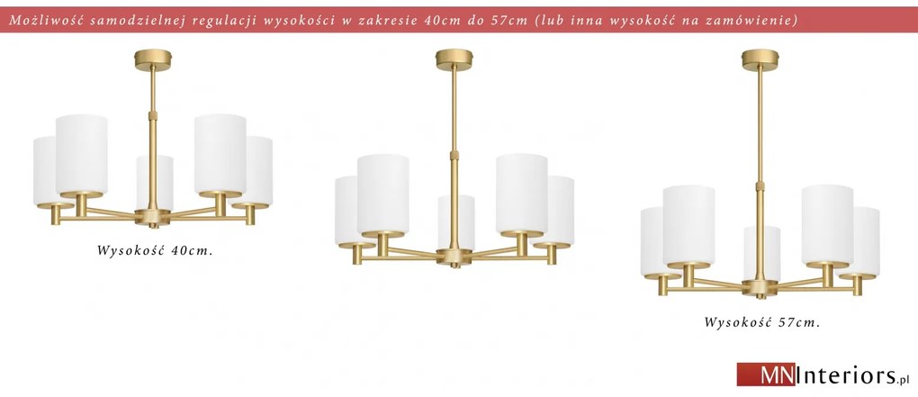 Złoty regulowany nowoczesny żyrandol KR-S5AR