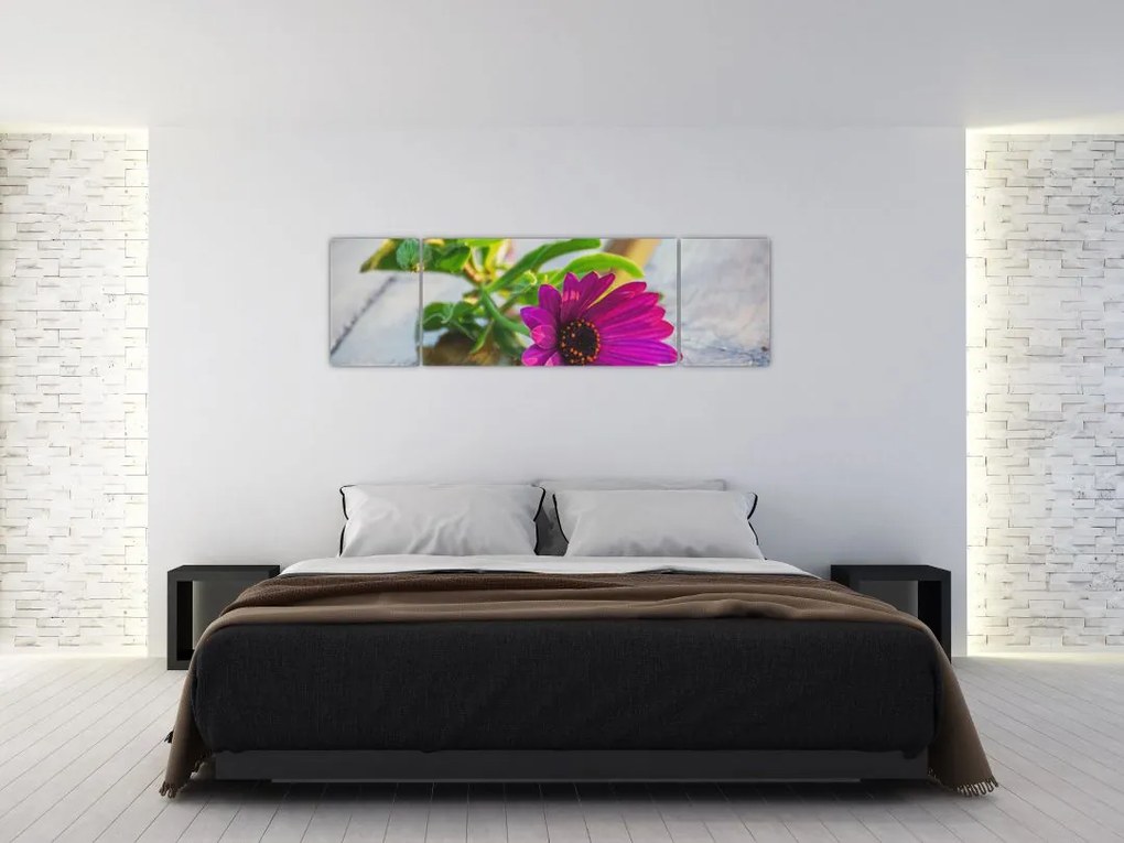 Obraz ciętego kwiatu (170x50 cm)