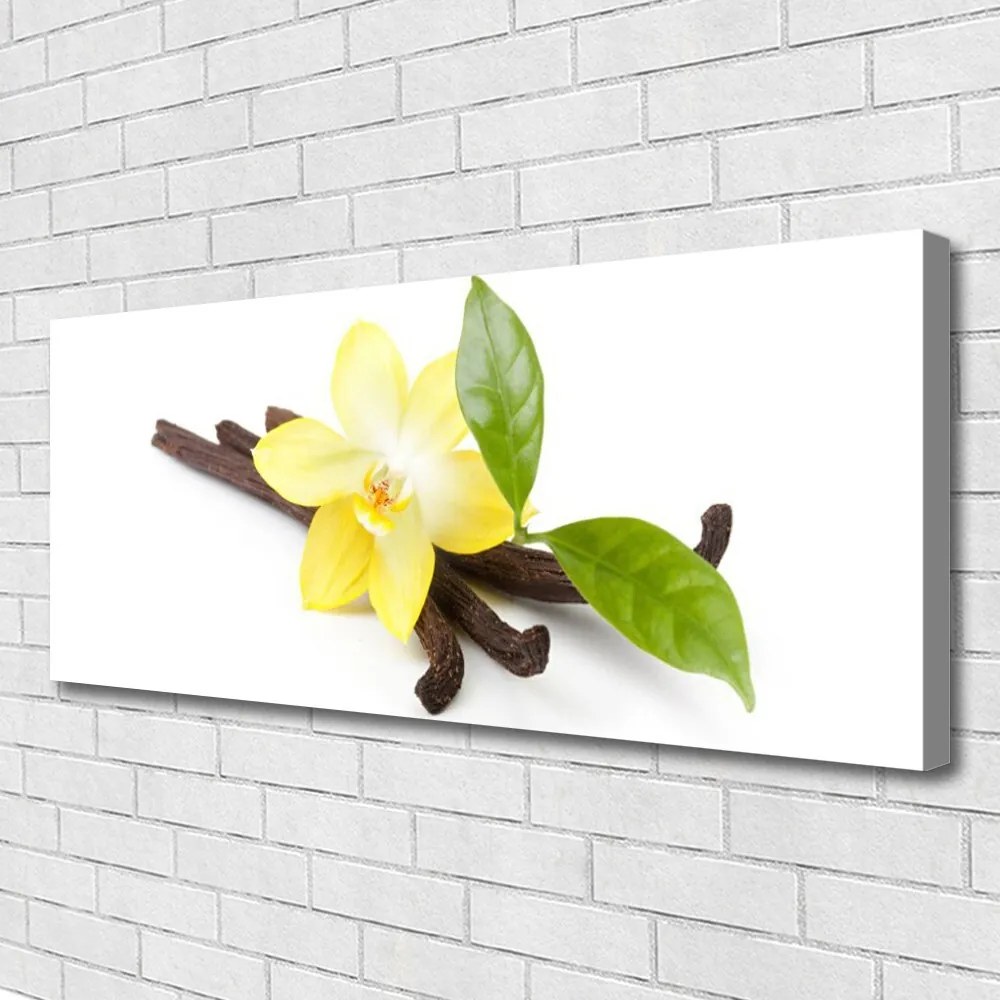 Obraz canvas Botaniczny Portret Wanilii
