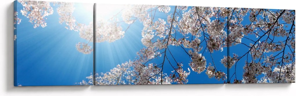 Obraz - Wiśniowe kwiaty (170x50 cm)
