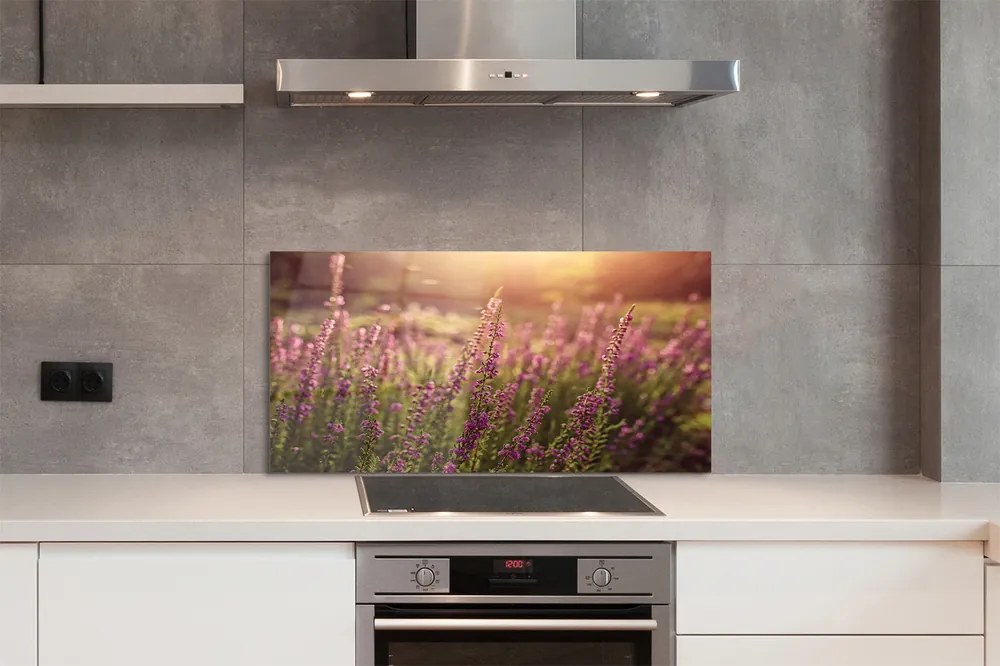 Szkło do Kuchni na Ścianę Rozległe Pole Wrzosów