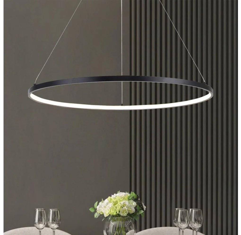 Zuma Line PEN89424-90BK - LED lampa wisząca na linkach HORIK LED/40W/230V 3000/4000/6000K