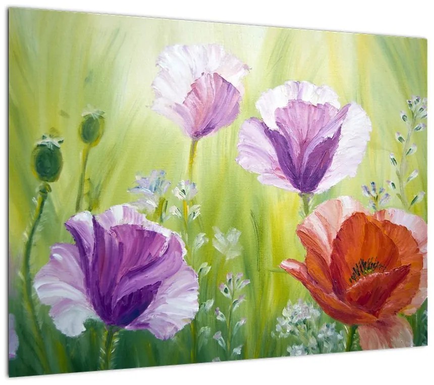 Obraz na szkle - Maki (70x50 cm)