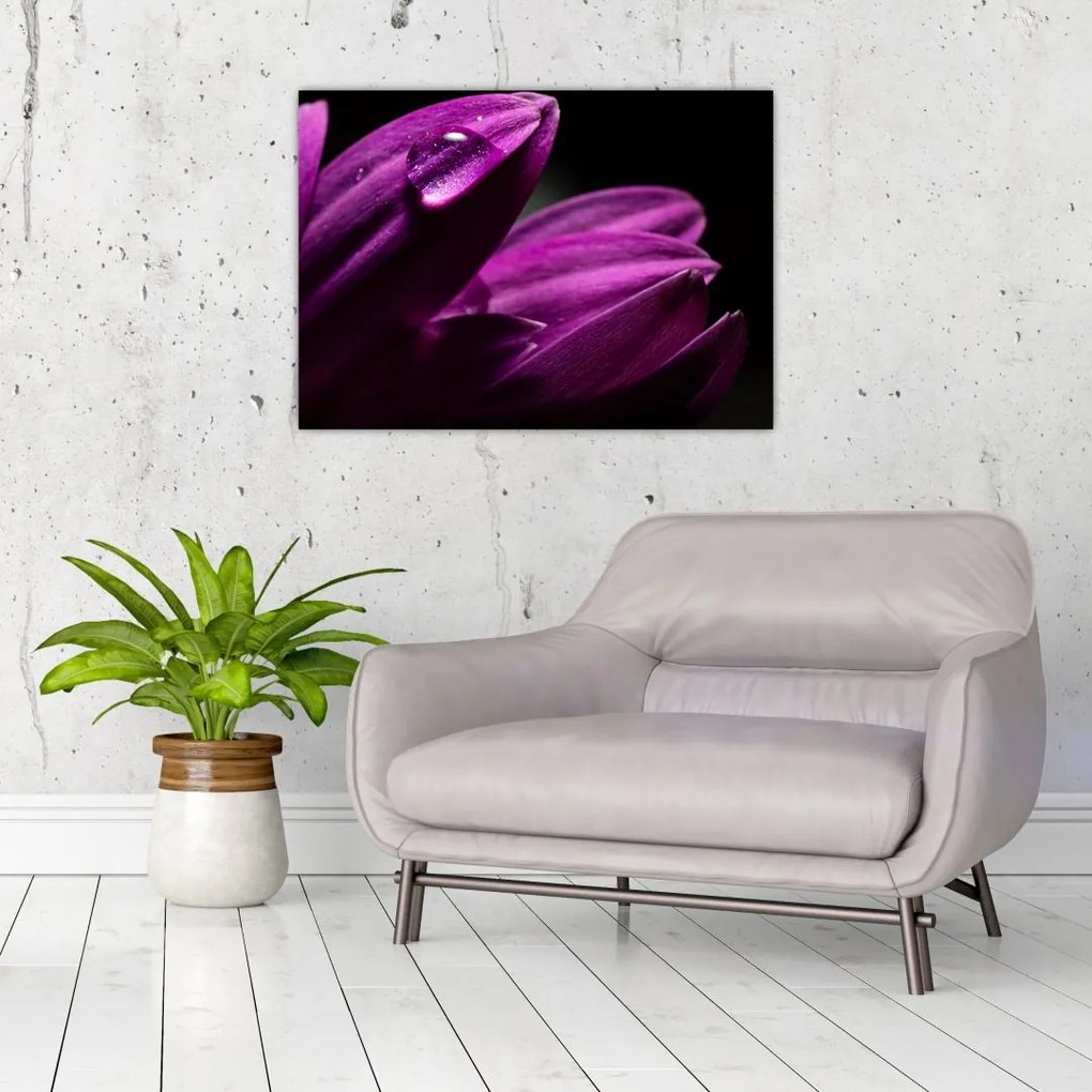 Obraz  - Kropla wody (70x50 cm)