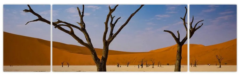 Obraz - Dolina Śmierci (170x50 cm)
