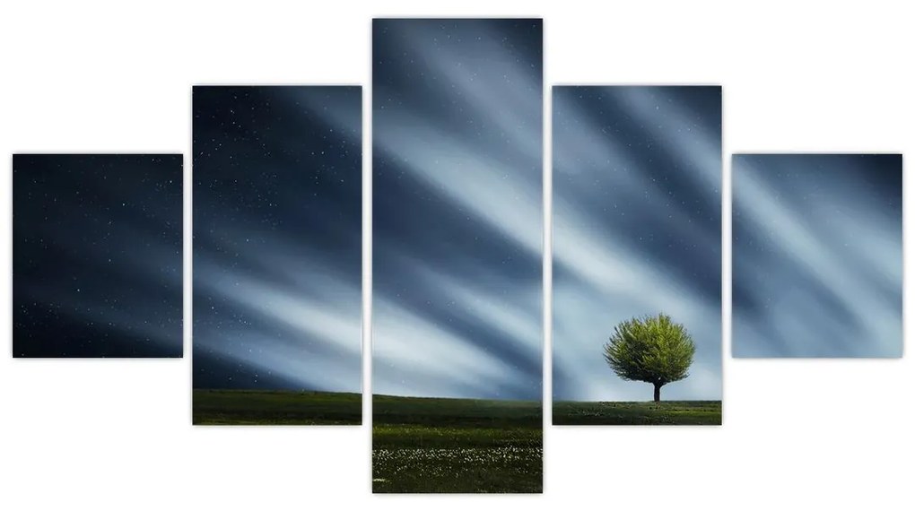 Obraz zorzy polarnej nad wrzosowiskami (125x70 cm)