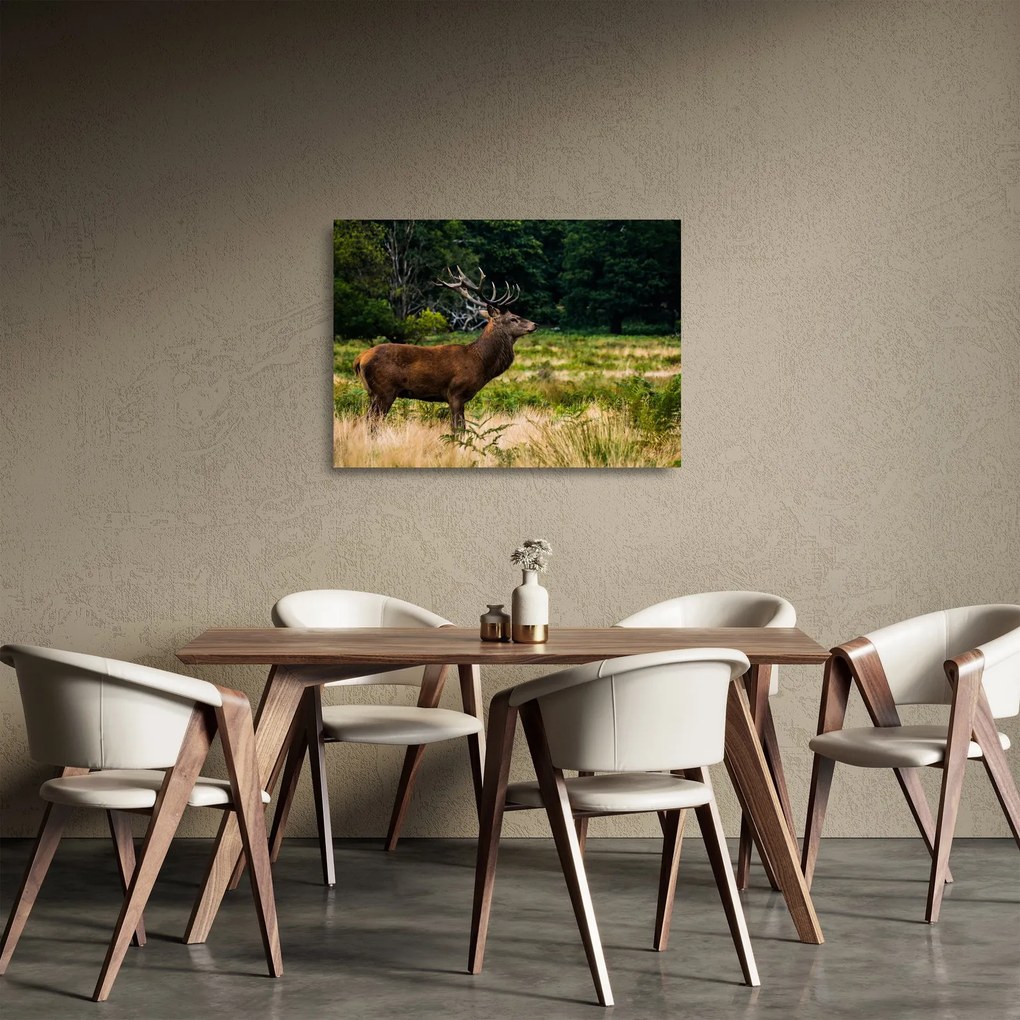 Obraz na szkle jelenia (70x50 cm)