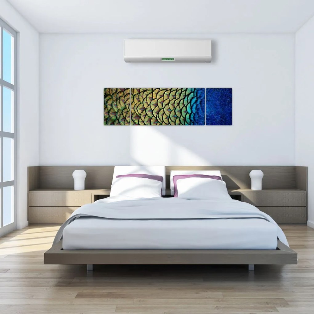 Obraz - Pawie pióra (170x50 cm)