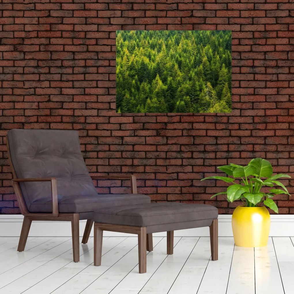 Obraz - Gęsty las (70x50 cm)