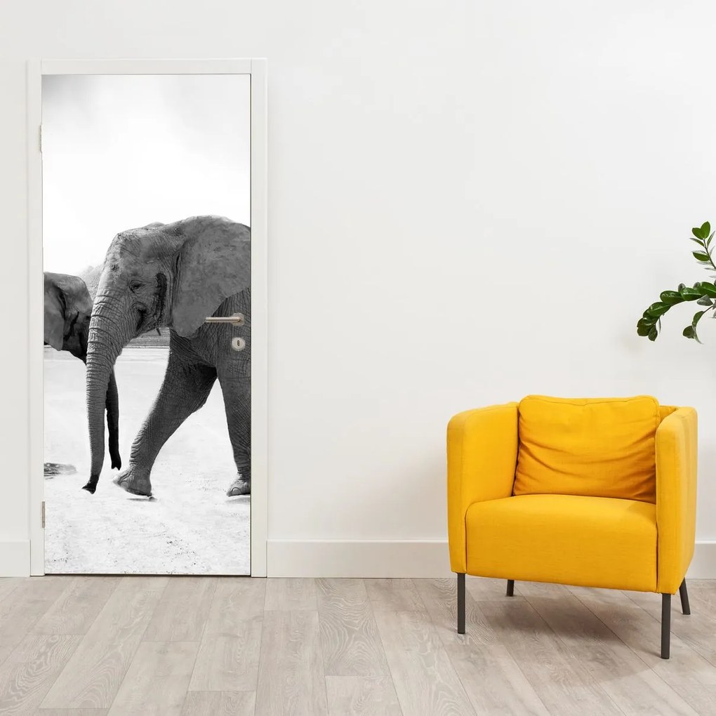 Fototapeta na drzwi - Czarno - białe słonie (95x205cm)