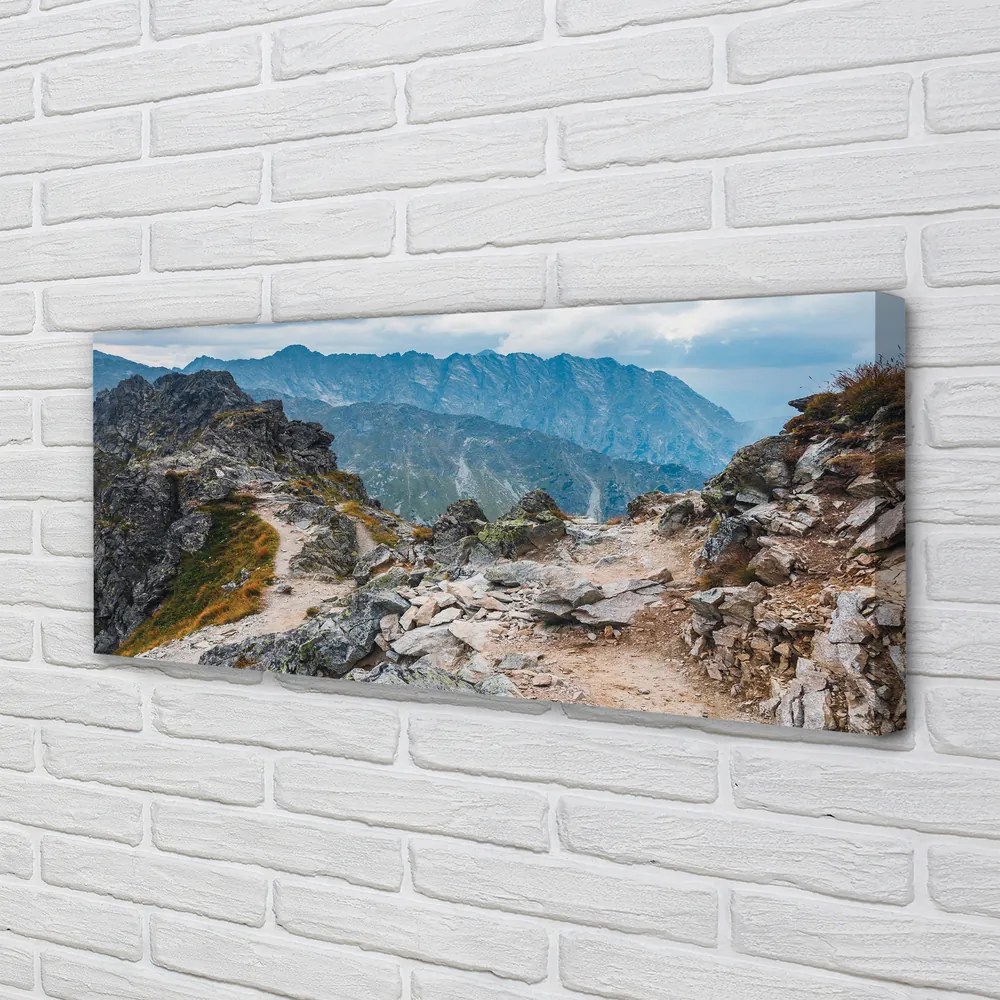 Obraz drukowany na płótnie Góry