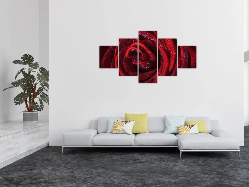 Obraz - Czerwona róża z kroplami rosy (125x70 cm)