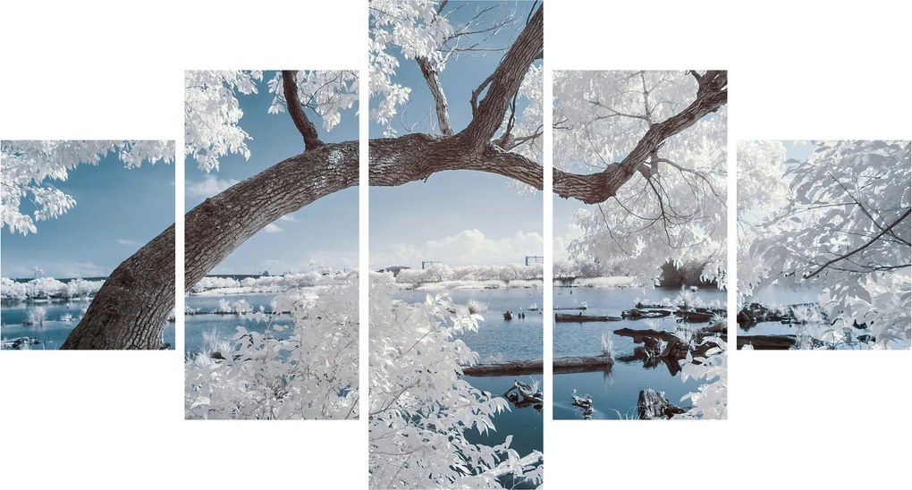 Obraz ośnieżonego drzewa nad wodą (125x70 cm)