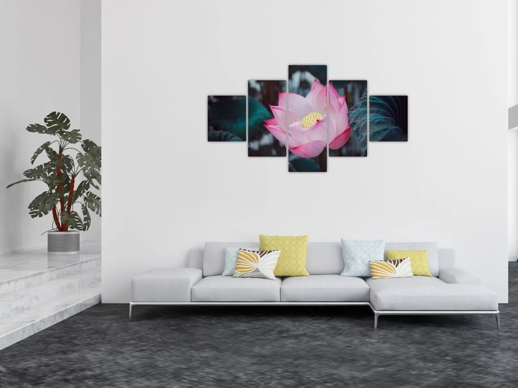 Obraz różowego kwiatu (125x70 cm)