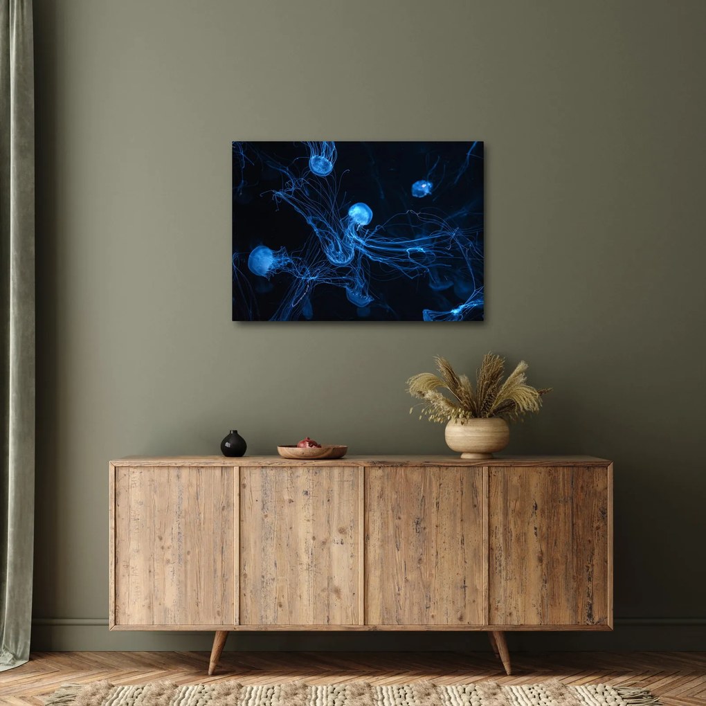 Obraz - Meduza (70x50 cm)