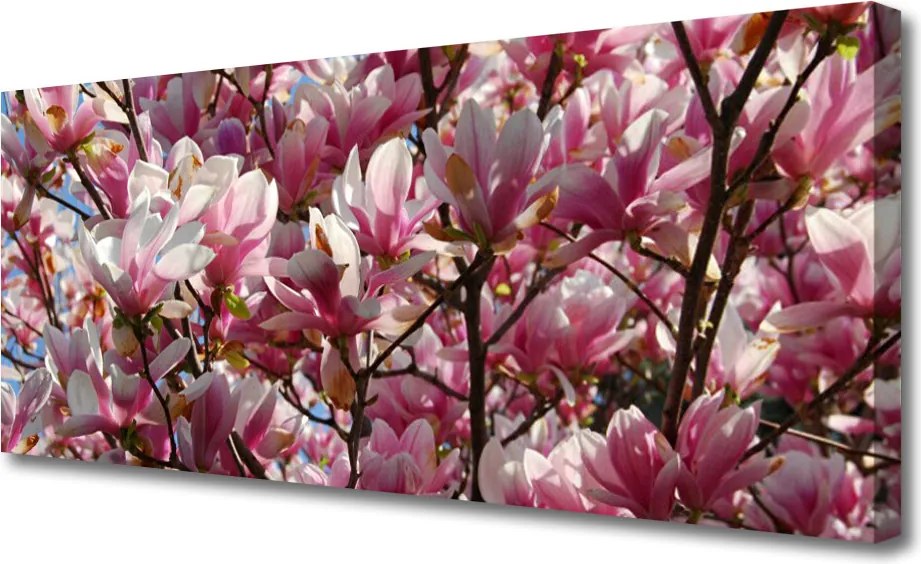 Obraz drukowany na płótnie Kwitnące Gałązki Drzewa