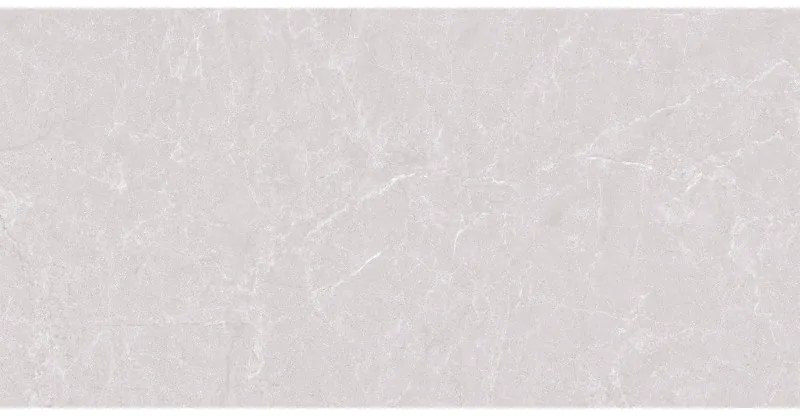 Mexen Bellisimo Silver gres szkliwiony rekt. G1, płytka podłogowo-ścienna 120 x 60 cm, połysk - TL120-120-060-03