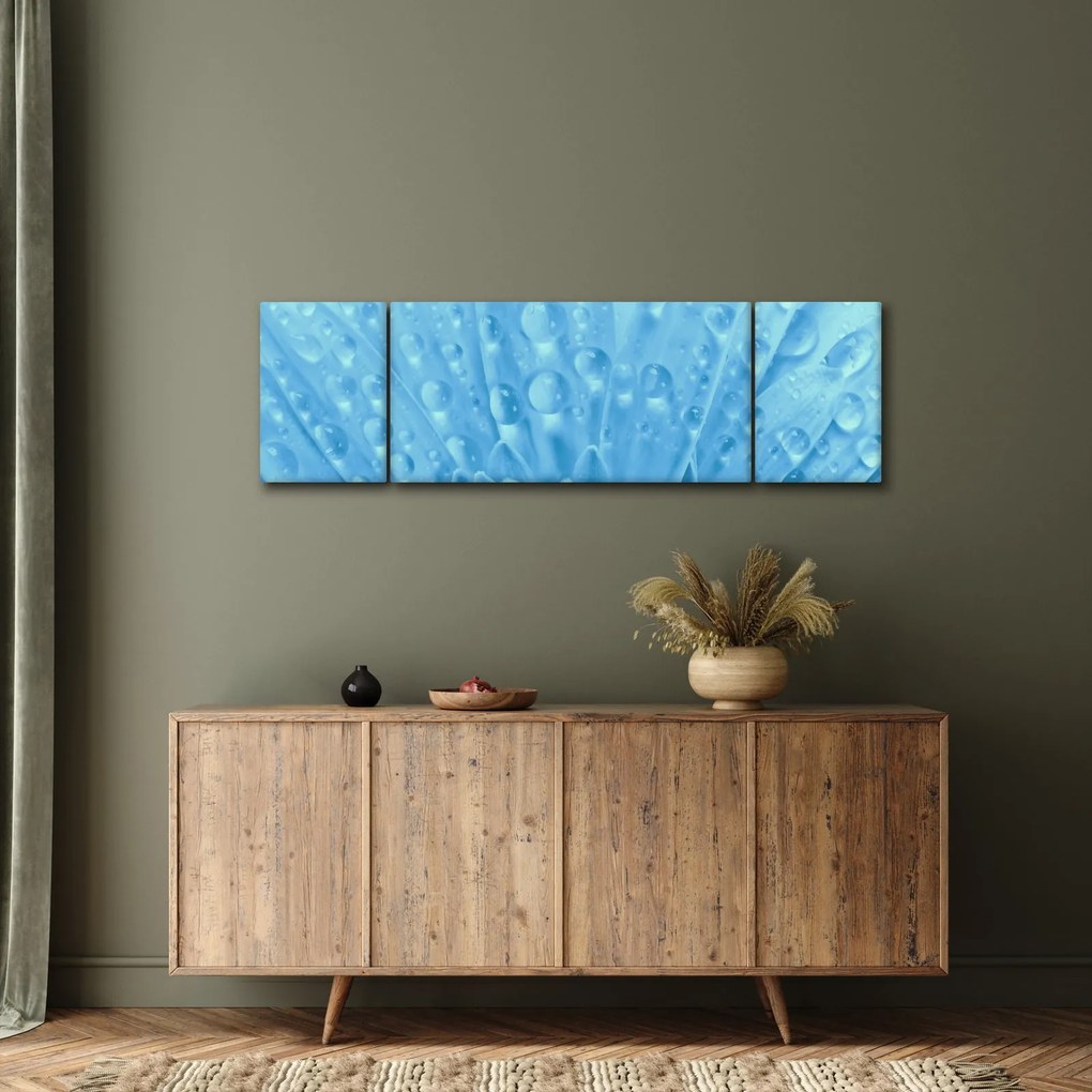 Obraz - Ujęcie makro kwiatu (170x50 cm)
