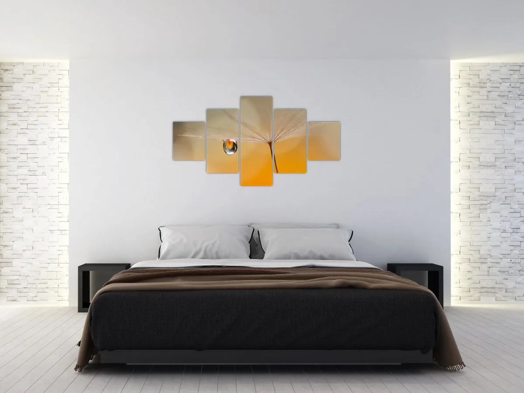 Obraz - Makro kwiat (125x70 cm)