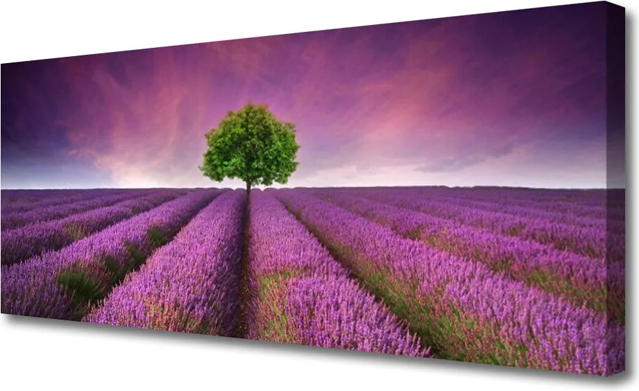 Obraz canvas Samotne Drzewo na Łące