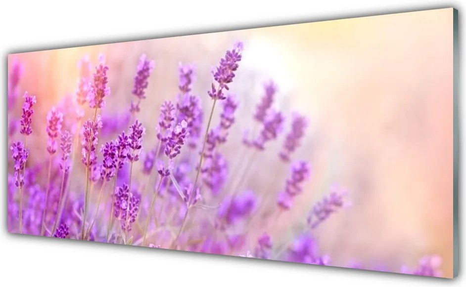 Panel Szklany Słoneczny Dzień na Polu Lawendy