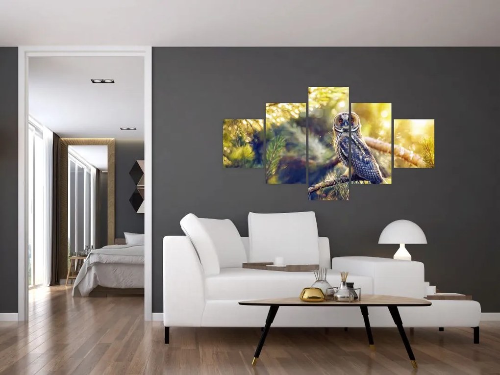 Obraz sowy na drzewie (125x70 cm)