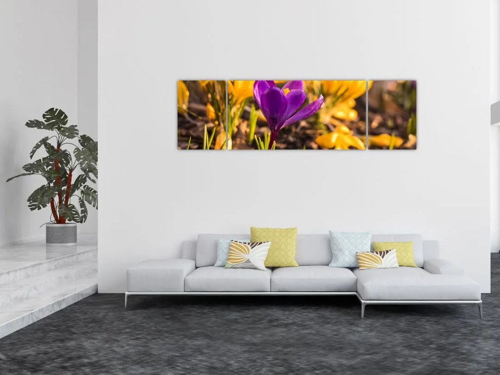 Obraz fioletowego kwiatu (170x50 cm)