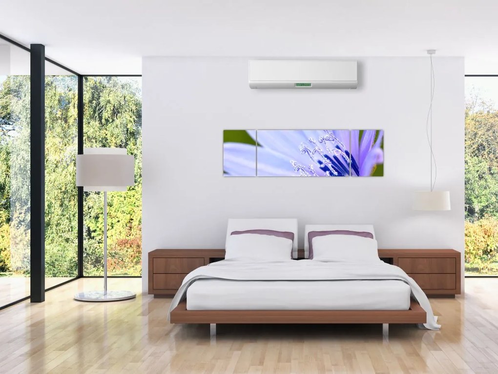 Obraz - Kwiat (170x50 cm)