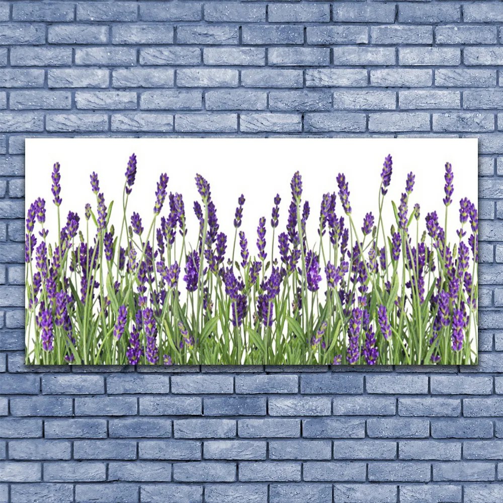 Obraz drukowany na płótnie Elegancja Polnych Roślin