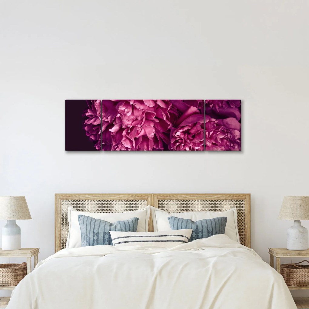 Obraz - Kwiaty piwonii (170x50 cm)