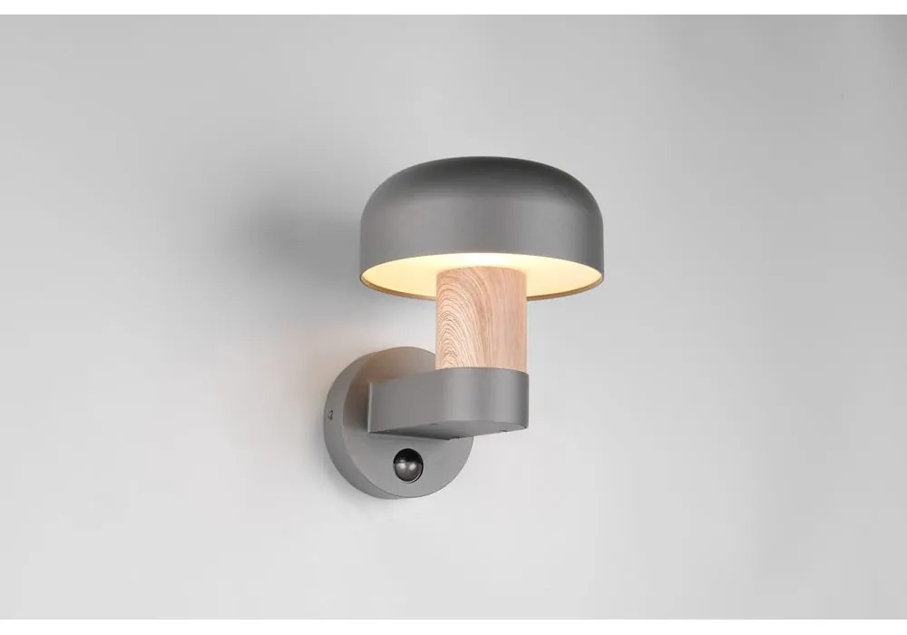 Zewnętrzna lampa ścienna (wysokość 24,5 cm) Fraser – Trio