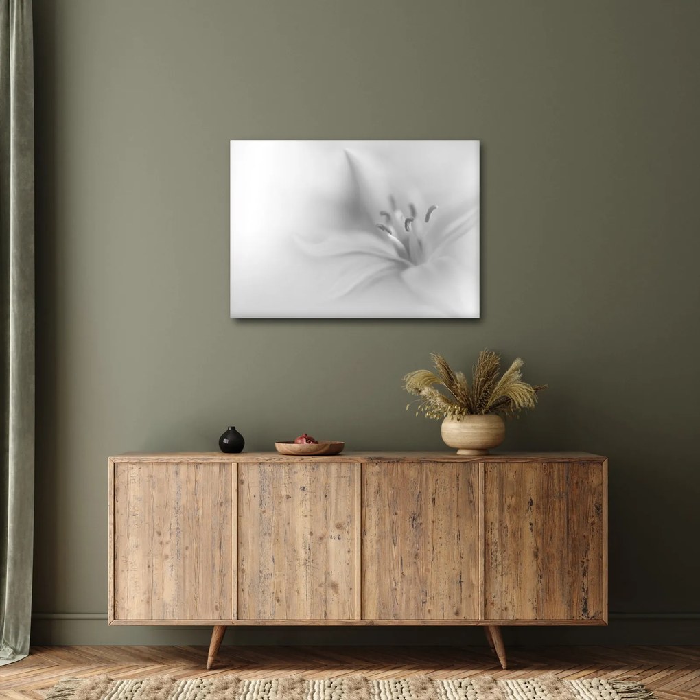Obraz - Delikatna lilia (70x50 cm)