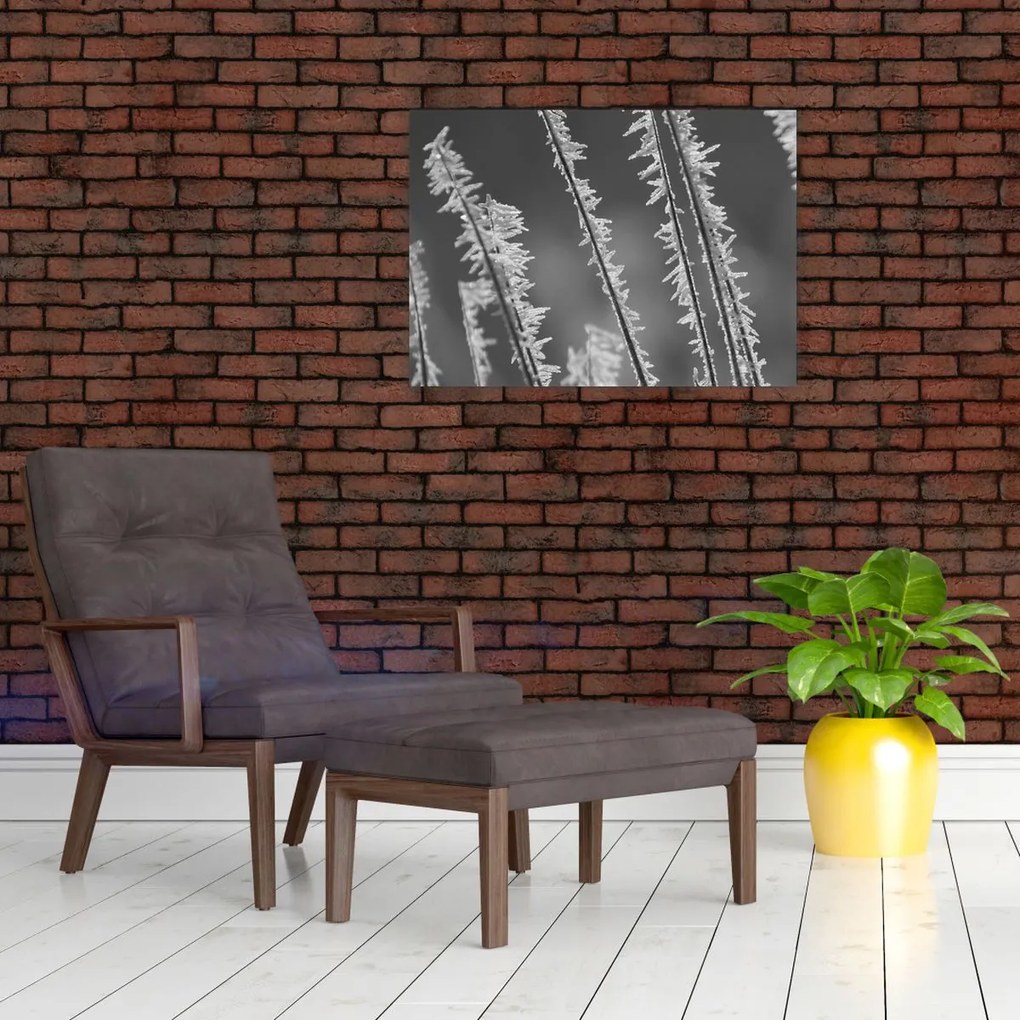 Obraz na szkle - Mroźne zimno (70x50 cm)