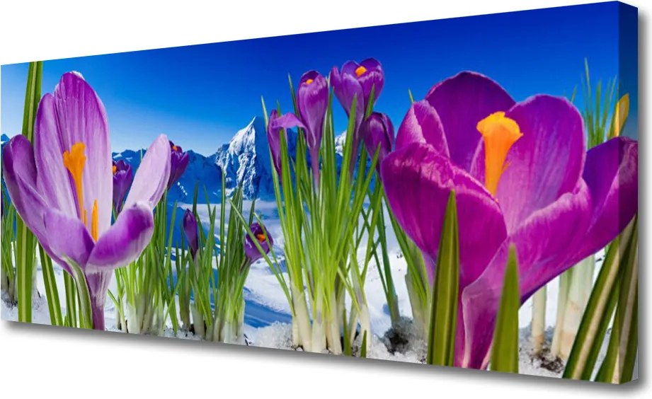 Fotoobraz na płótnie Świeżość Kwiatów Polnych