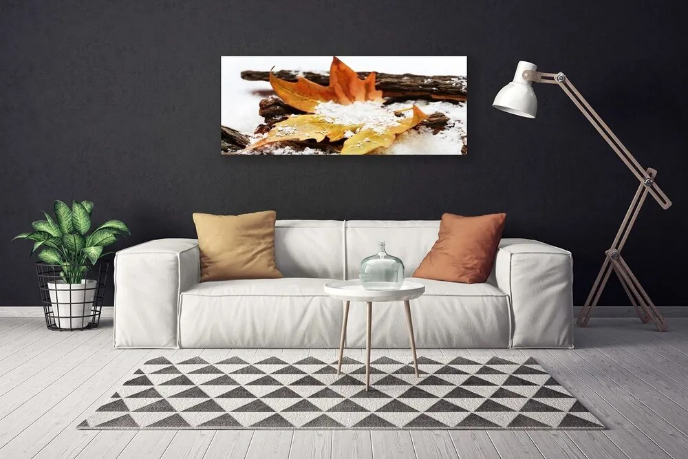 Obraz canvas Urok Skromnej Stokrotki