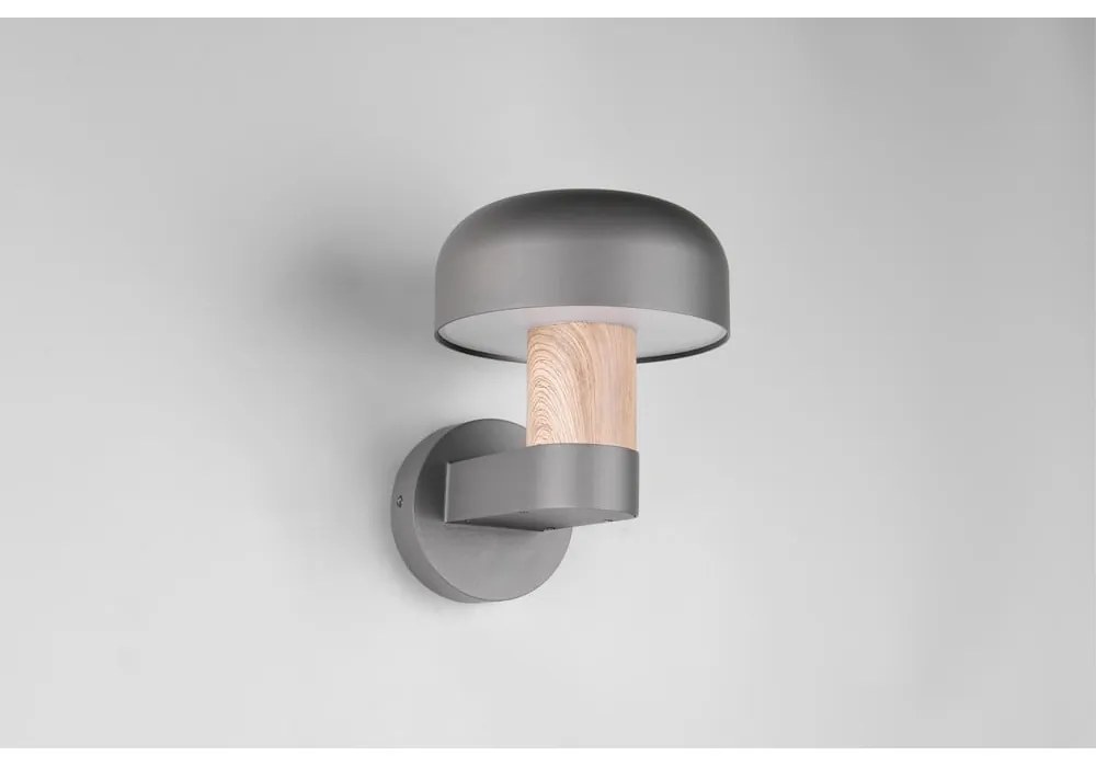 Zewnętrzna lampa ścienna (wysokość 24,5 cm) Fraser – Trio