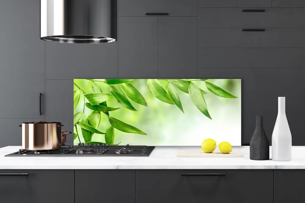 Panel Szklany do Kuchni Botaniczna Świeżość Liści