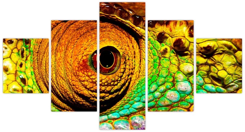 Obraz - Kameleon (125x70 cm)