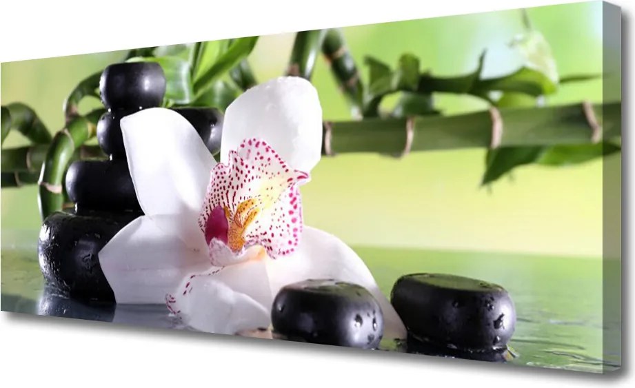 Obraz canvas Promienie Słońca w Zielonych Liściach