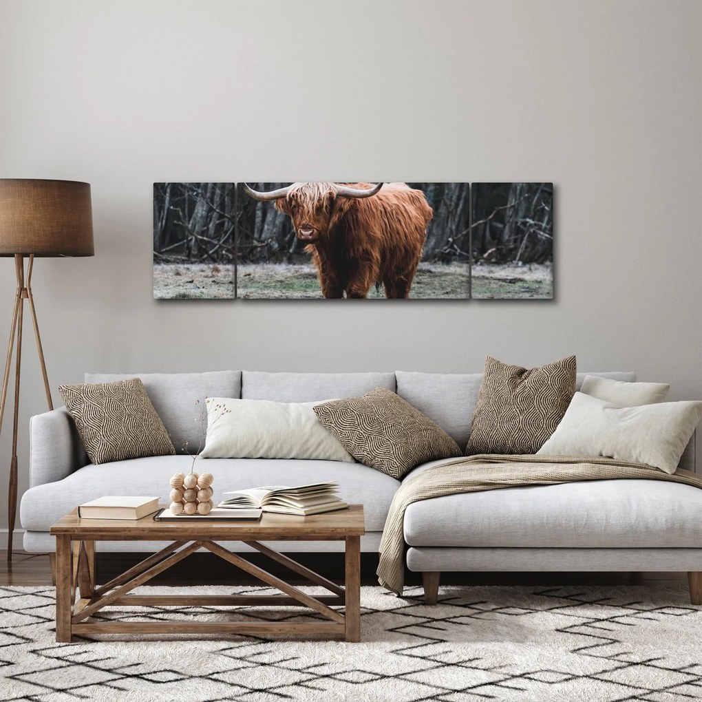 Obraz - Szkocka krowa 2 (170x50 cm)