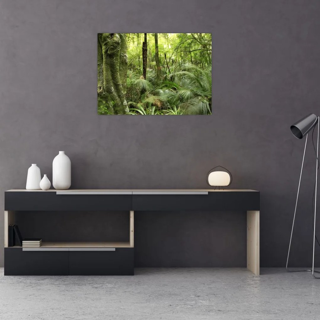 Obraz na szkle tropikalnego lasu deszczowego (70x50 cm)