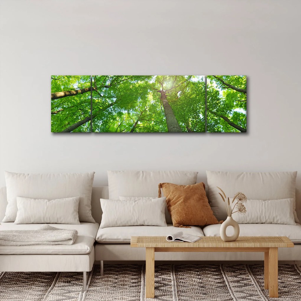 Obraz - Las (170x50 cm)