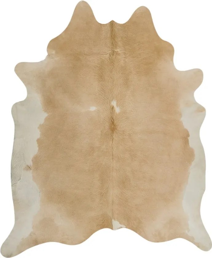 Beżowa skóra 210x200 cm – Narma