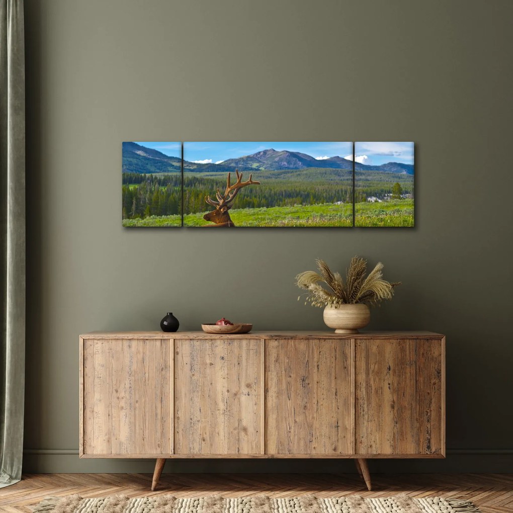 Obraz - Jeleń na łące (170x50 cm)