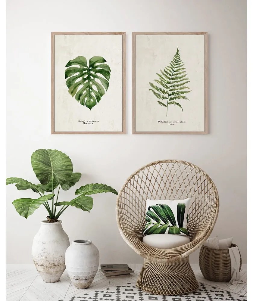 Obraz 50x70 cm Monstera – Styler