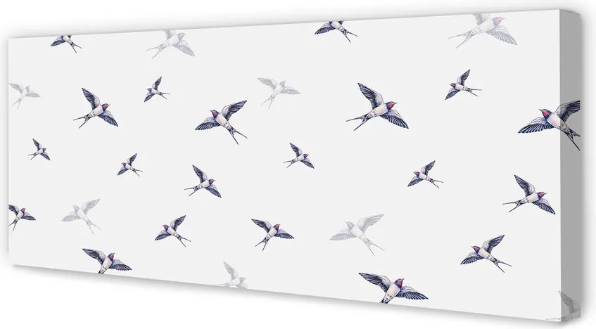 Obraz drukowany na płótnie Kwiaty i Ptaki