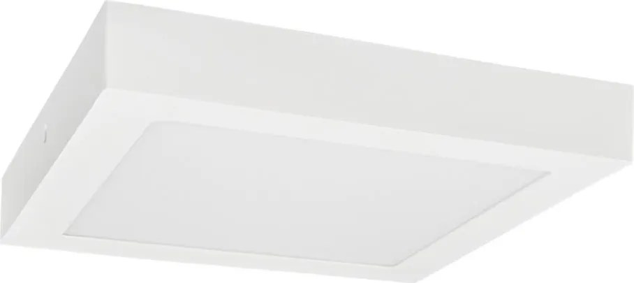 LED Plafon FENIX LED/12W/230V 3800K 17 cm śnieg biały