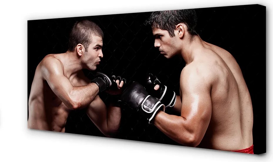 Duży obraz na płótnie Siła I Ringowa Walka
